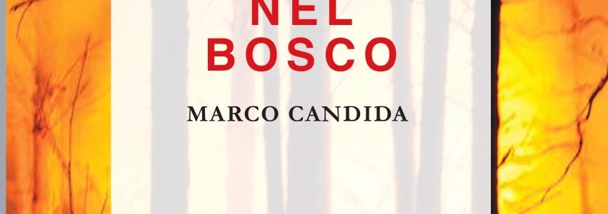 Marco Candida. Incendio nel bosco